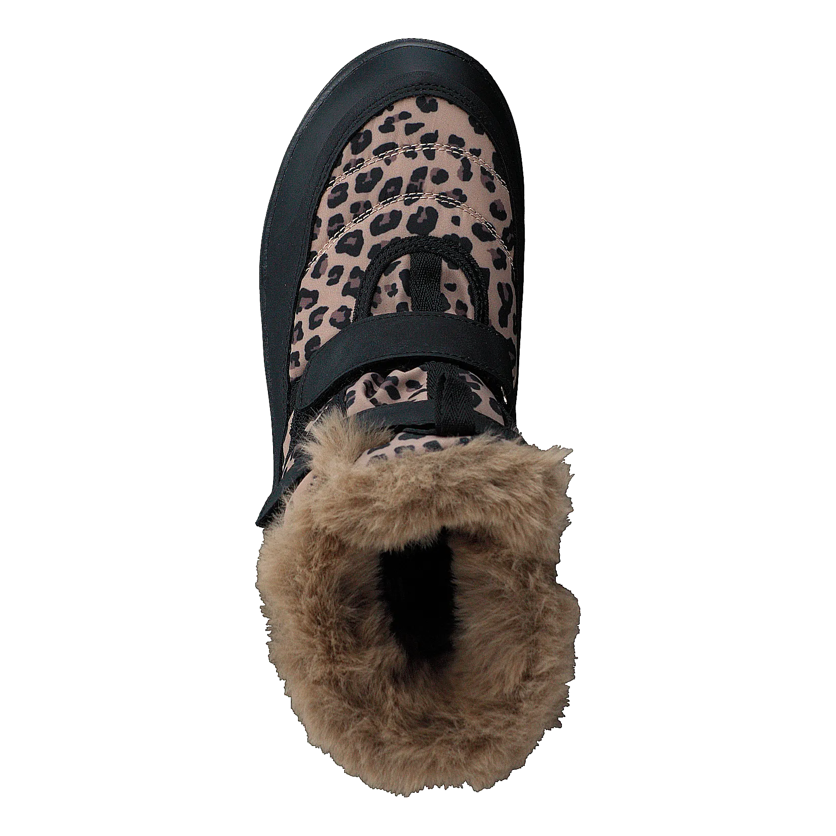 Foxen Leopard